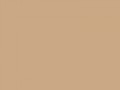 Желтовато-серый	#CAA885	202	168	133
