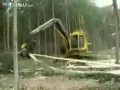 Техника для пилки леса