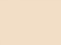 Сливочно-кремовый	#F2DDC6	242	221	198