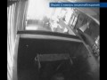 Конь-дебошир нападает на окна домов граждан