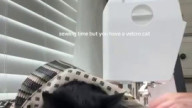 trying to sew with kitty