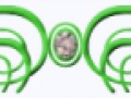 74