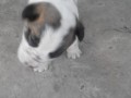 20150524165339
