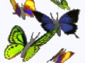 Эффект бабочки