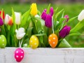 Tulips_Easter_Eggs_481759