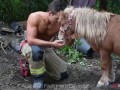 Australian Firefighters 2019 Animal Calendar with horses