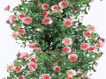 0_168887_331761ec_orig_yapfiles.ru