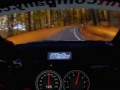 Rally car 206 km/h through a forest...