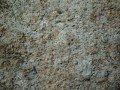 stone_texture166