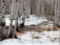 верх