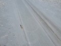 Видео с высоты - Сибирская переправа в марте
