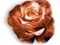 _7_arnusha
