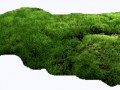 h010250s.ru