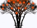 compressed-di9r