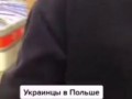 бешенсы