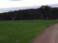 Kangaroo horde during bike ride