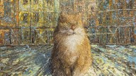 питерский кот