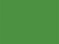 Майский зеленый	#4C9141	76	145	65
