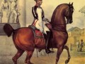 21.А.И. Зауэрвейд. Обер-офицер Кавалергардского полка.1820