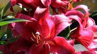 IMG_8874 копия