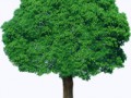 0_f3ec1_eefca6f2_orig[1]