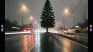Пьеро Социалистического Труда - Никого не надо