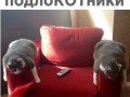 подлокотники