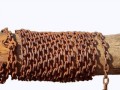 360_F_139869647_phkDJhGAqAg42GeQ4BVDPDkletgAqJUW
