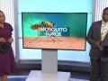 Комары в США.