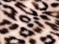 meh_leopardaleopardovye_1920x1080 (1)