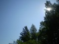 Солнце за деревьями 
