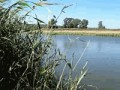 Тузлов 250712