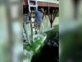 Guy Falls In Alligator Pool After Rope Swing Goes Wrong