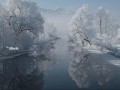 красота_01