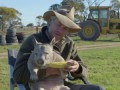 Feeding a farting wombat - Natural World 2016: Episode 5 Preview - BBC Two