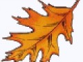 3__arnusha