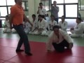 Turkish Submission Wrestling vs Aikido