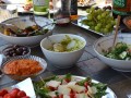 22aDSC_0877
