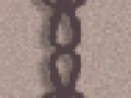 fon_9_3_1_arnusha