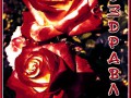 (2)