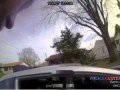 Cop Accidentally Tasers Partner