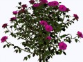 5d93fafe4246ce74f5eb1182ab23ca6e