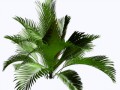 1_yapfiles.ru (1)
