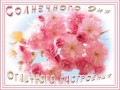 солнечного дня-дня