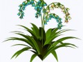 flatcastsonsuzadek-leyauqe.1png