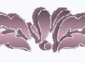 4__arnusha