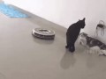 ! У нас здесь серьезный разговор..