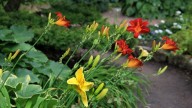 IMG_9173 копия
