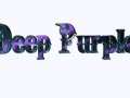 4-Deep_Purple-500