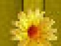 7_5